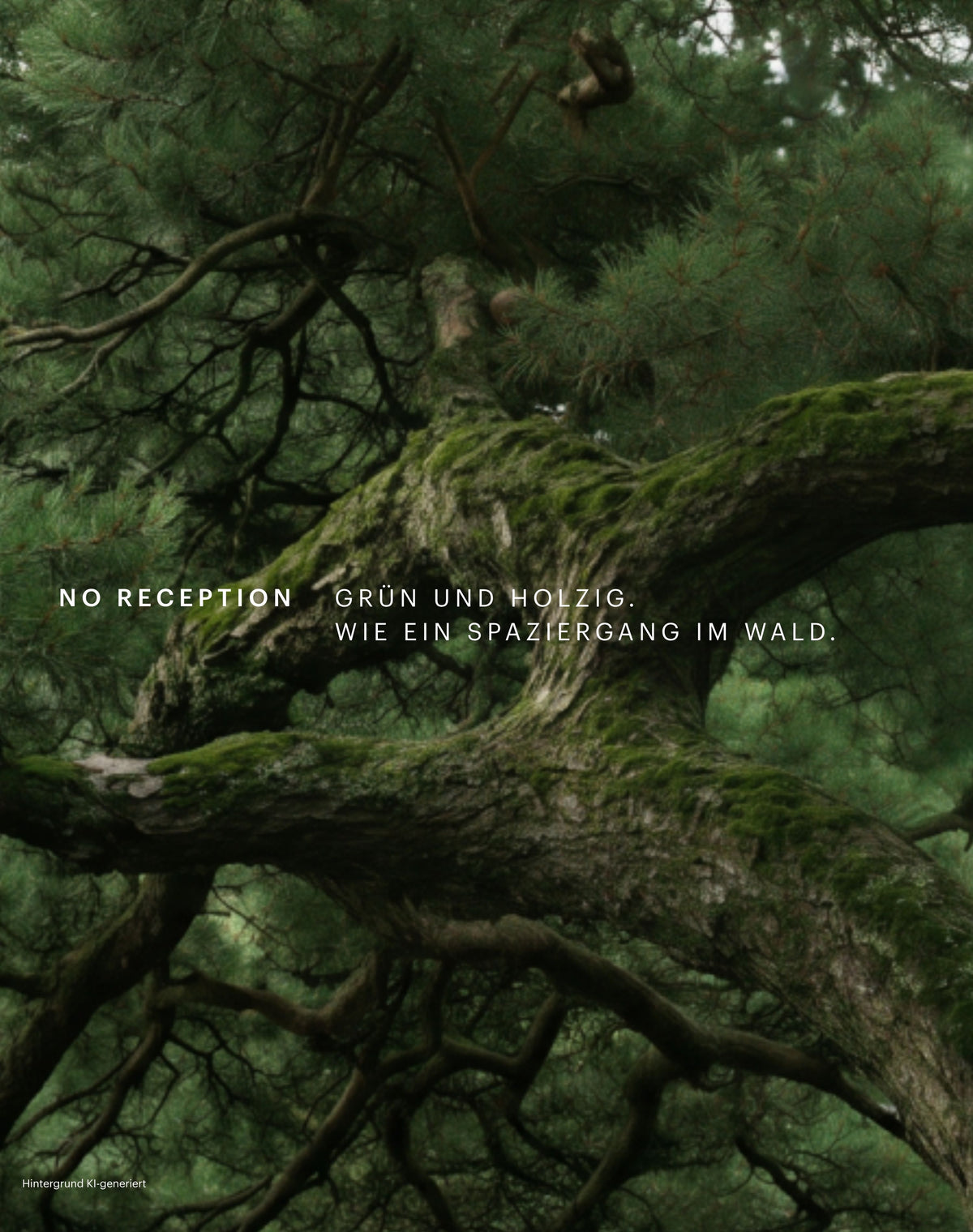 Scented Candle - No Reception
