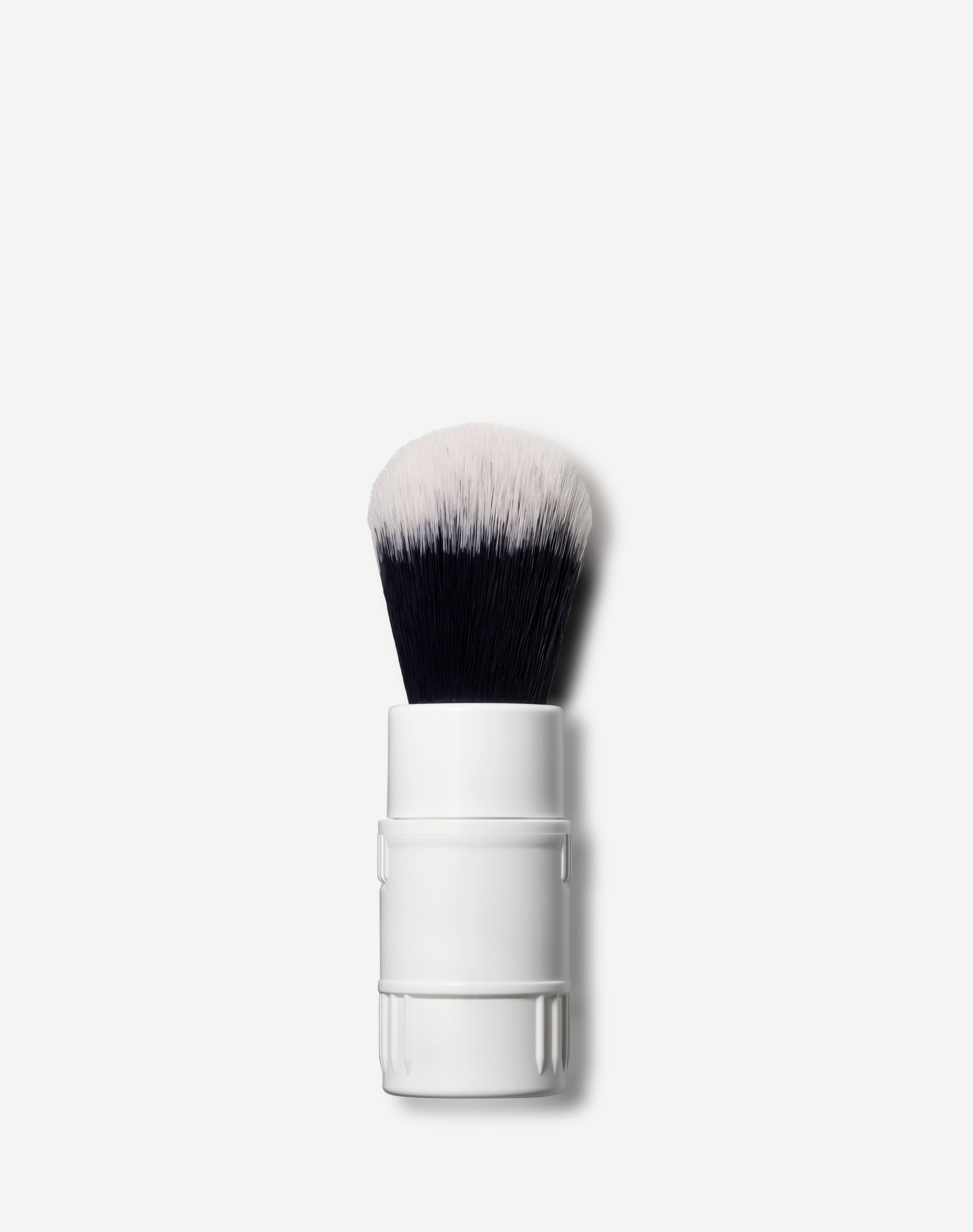 Click-In Brush